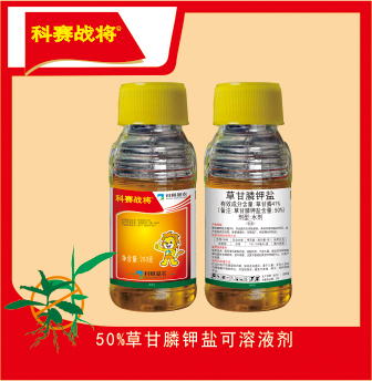 2戰(zhàn)將.jpg