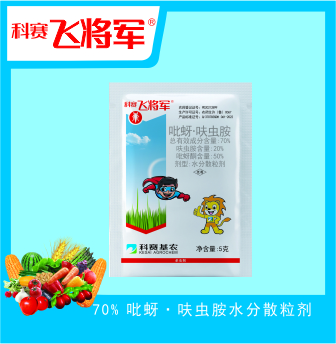 科賽飛將軍