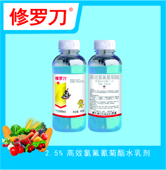 修羅刀