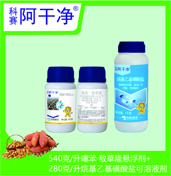 科賽阿干凈
